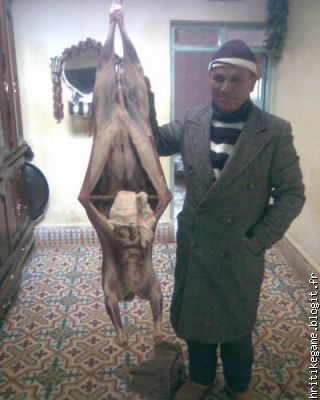 mon pere