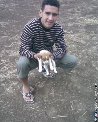 c moi et mon chien